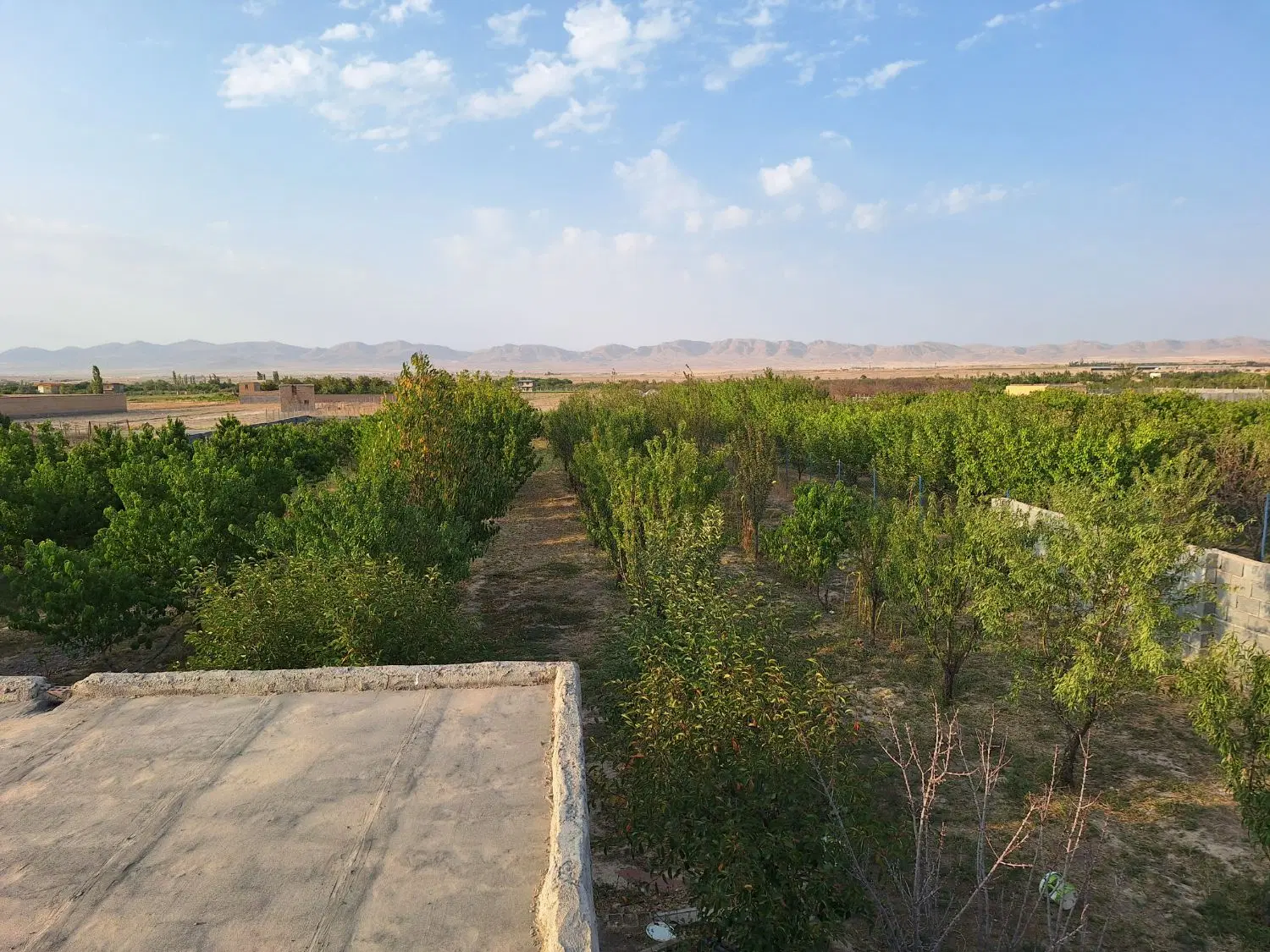 باغ ویلا