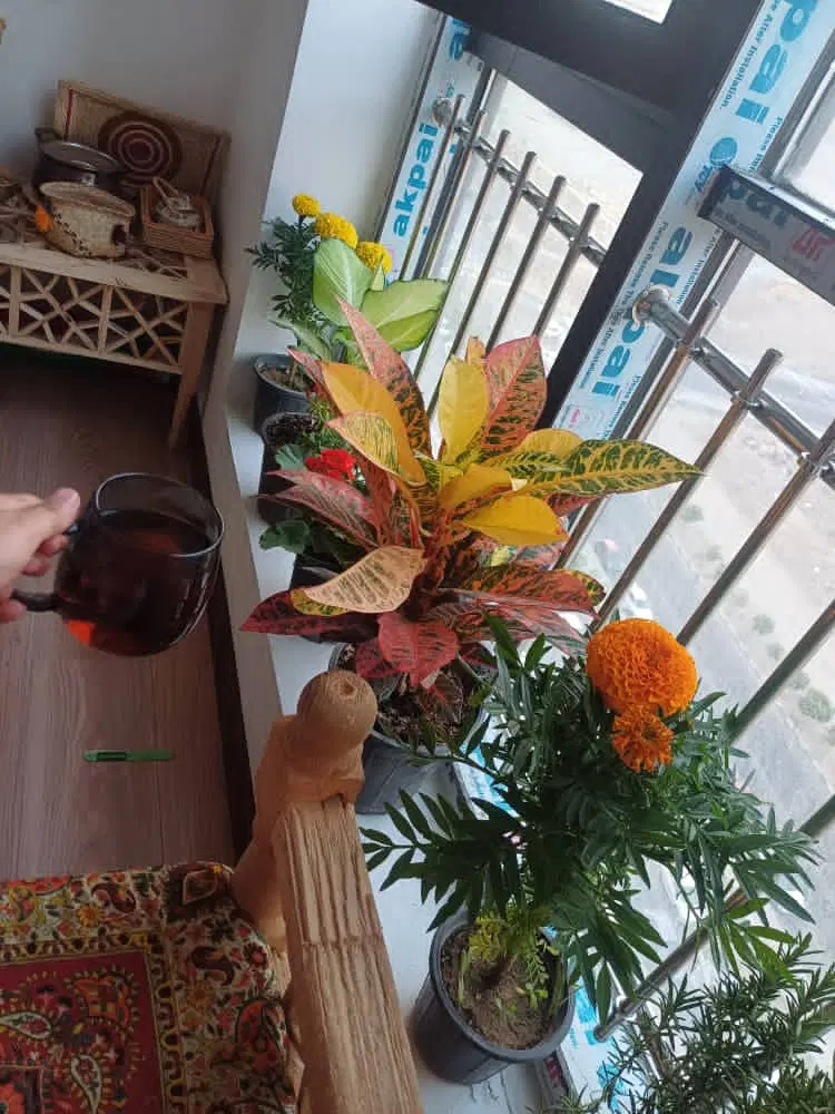 واحد برای اجاره