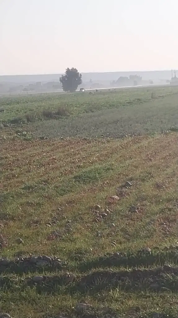 ۳هکتار زمین کشاورزی برا اجاره