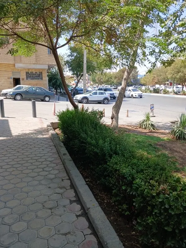 ۲۰۰ متر پلاک کلنگی جنوبی بر خیابان
