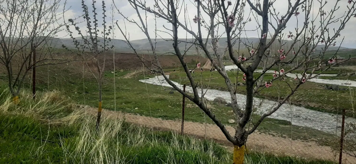 باغ اهر