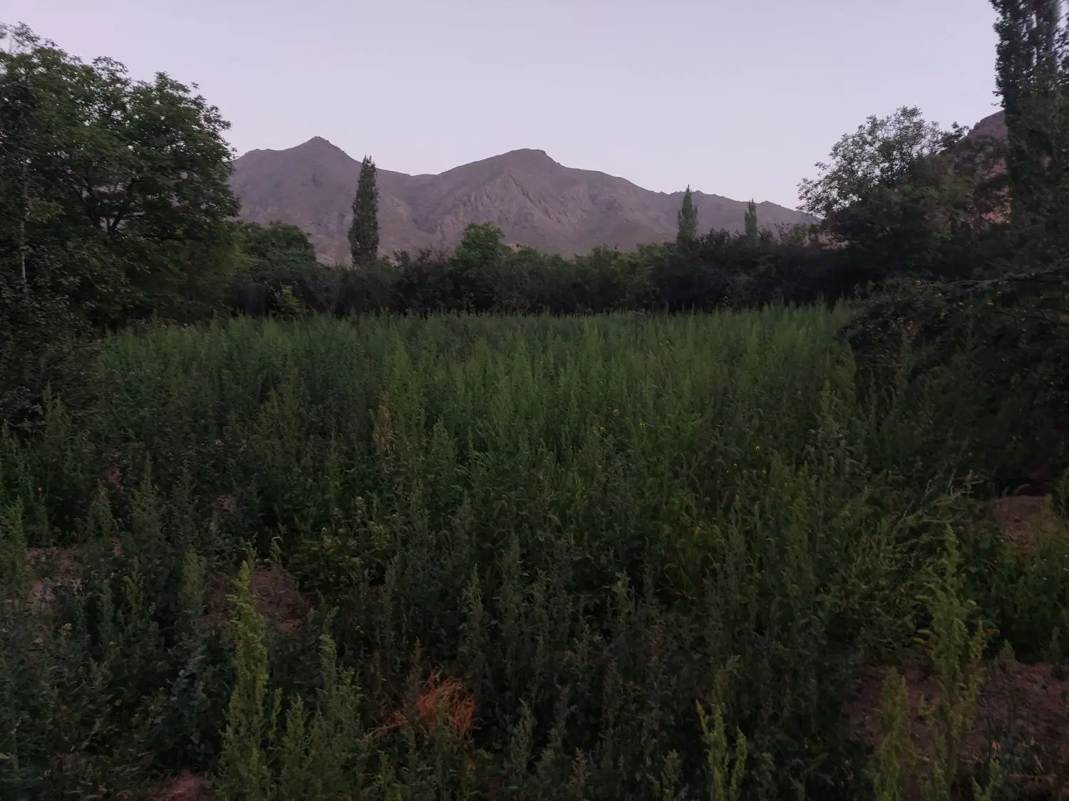قهرود کاشان ملقب به لواسان کاشان ۲۰۰۰ متر ارتفاع
