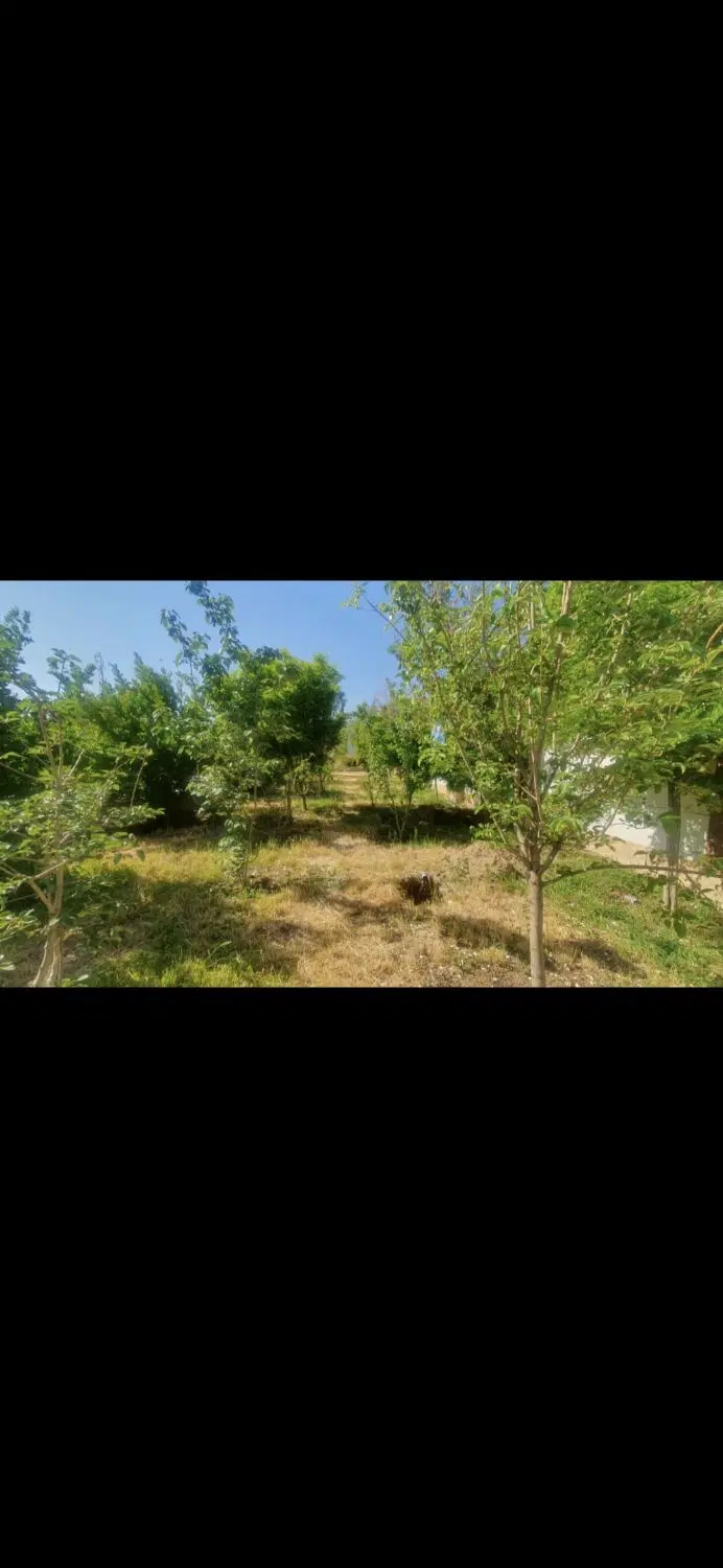 باغ ۲۰۰متری داخل شهرک سند دار
