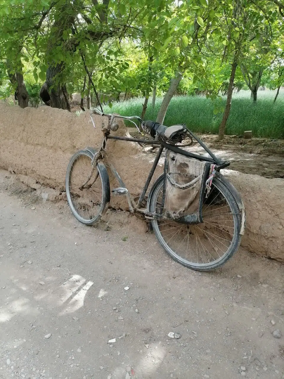 زمین قهجاورستان