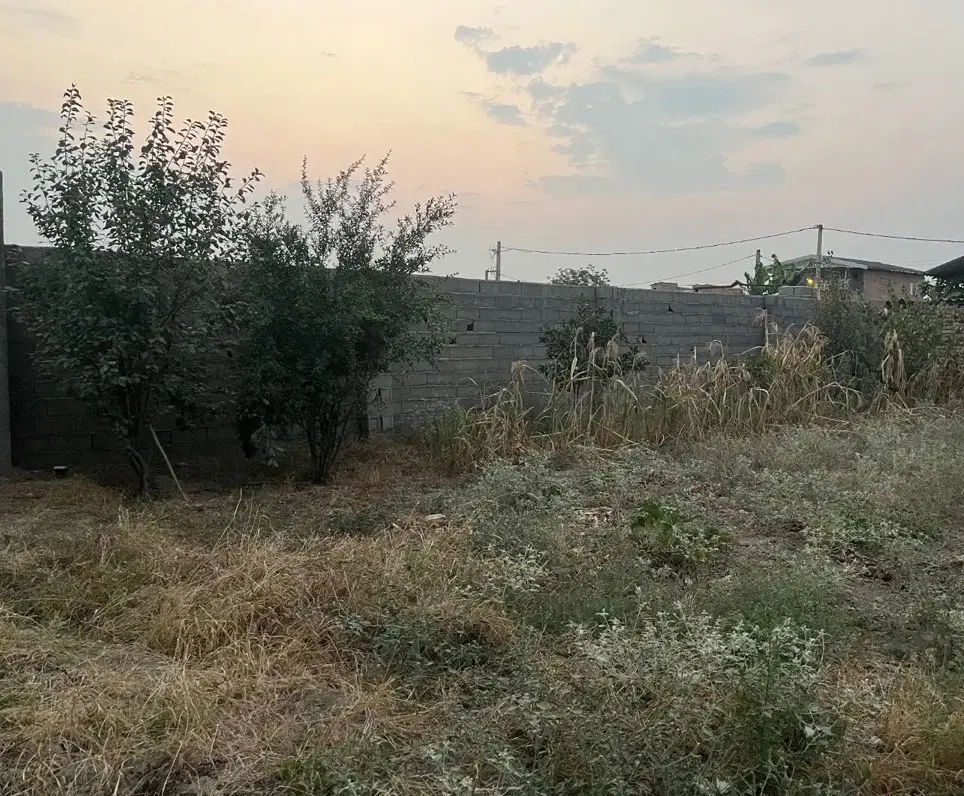 زمین دور دیوار