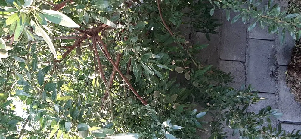 490متر