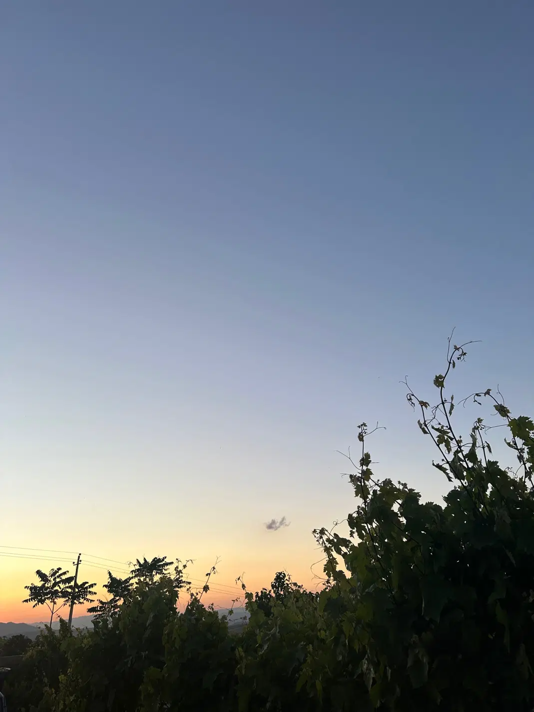 فروش باغ _ روستای قارلق_ ۳هزار متر