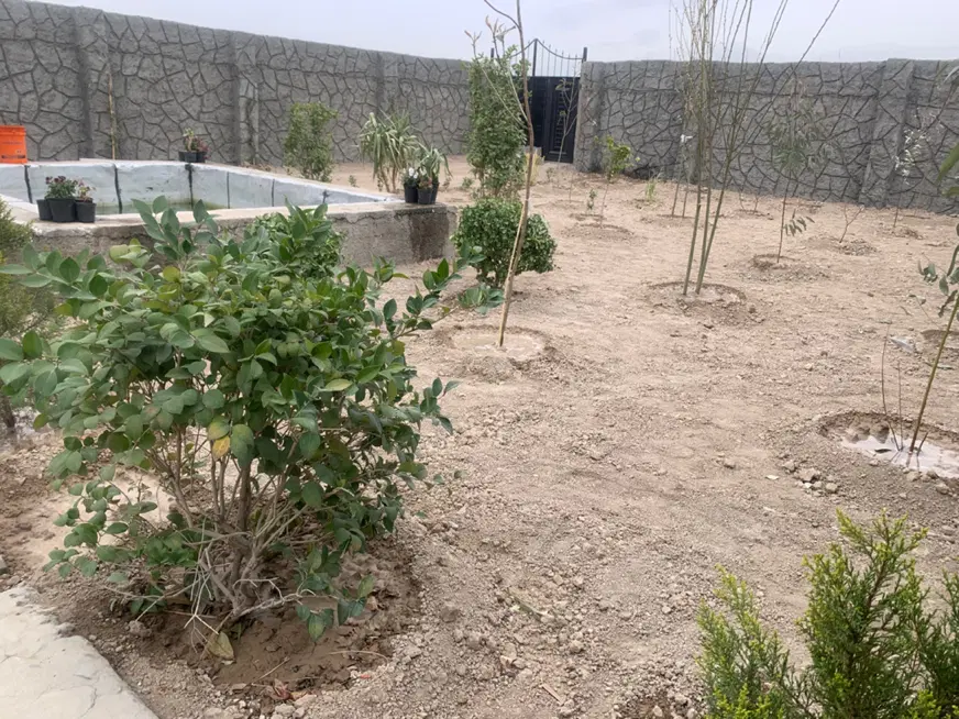 سلام باغ 320متری