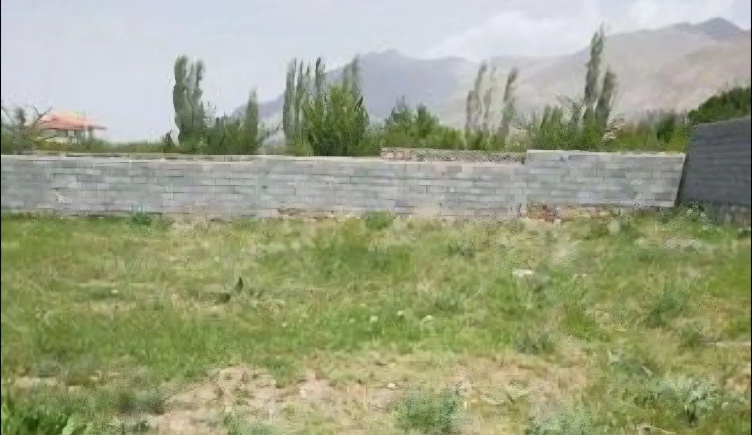 زمین باغی