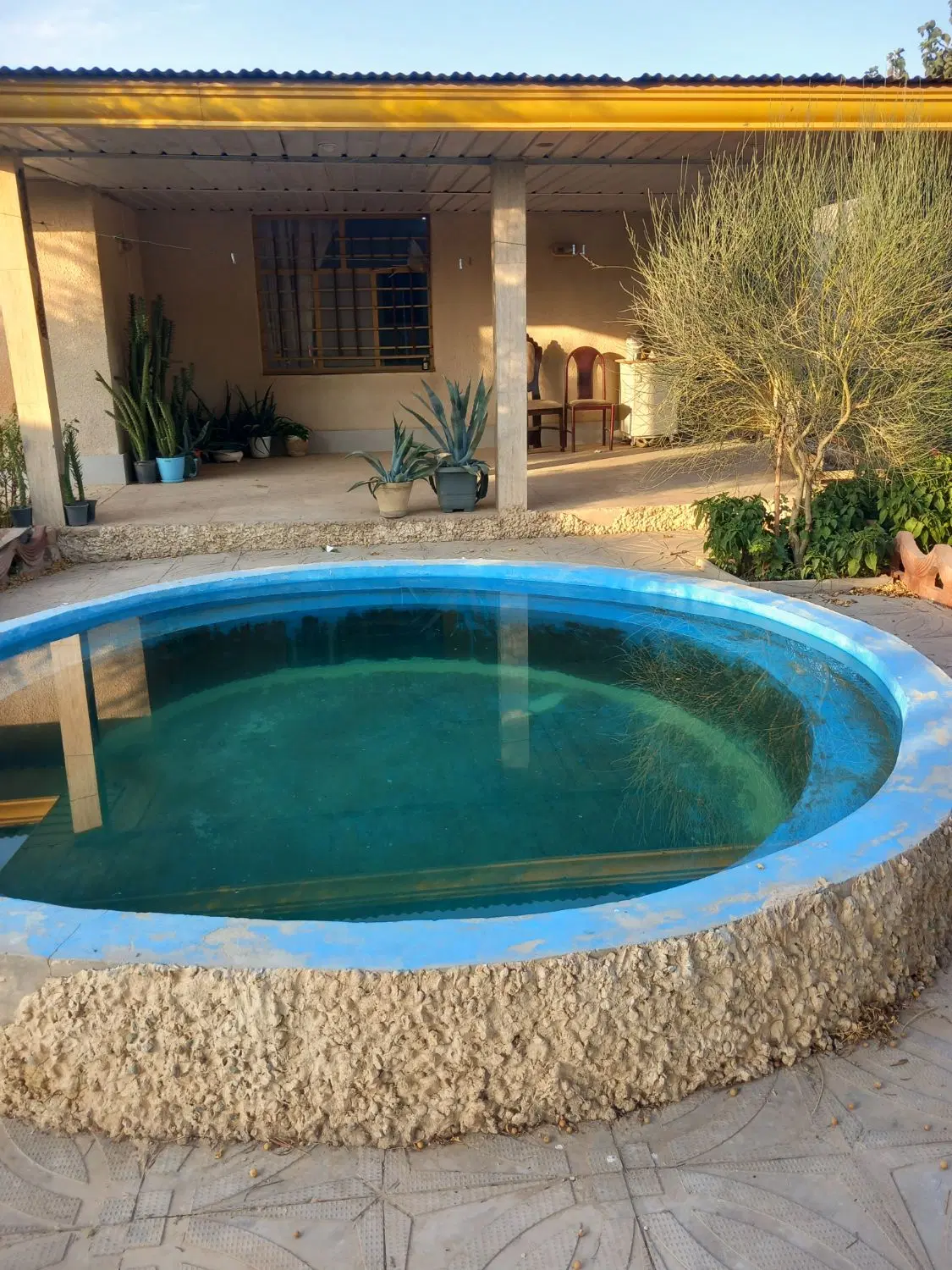 باغ میوه