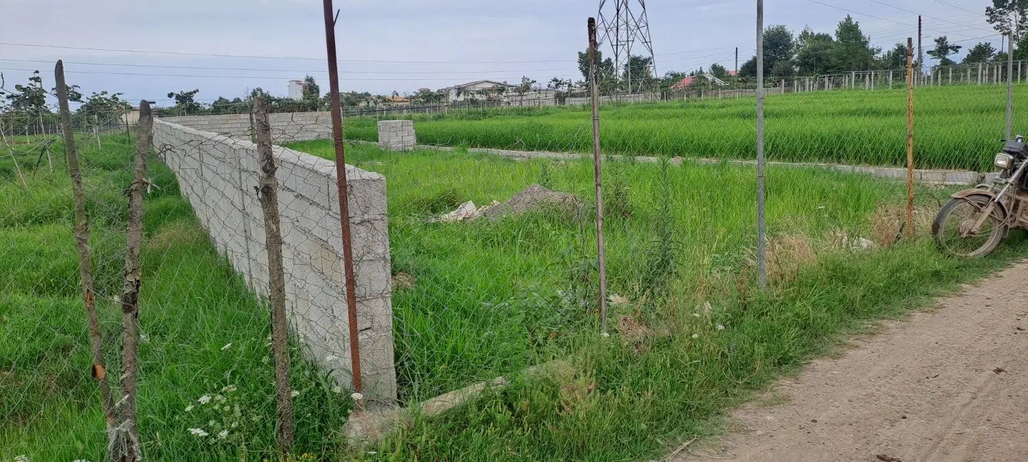 ۲۹۵ متر زمین در اوتار محله حویق