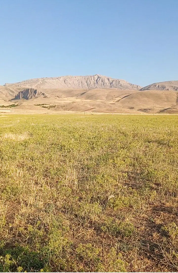 زمین کشاورزی