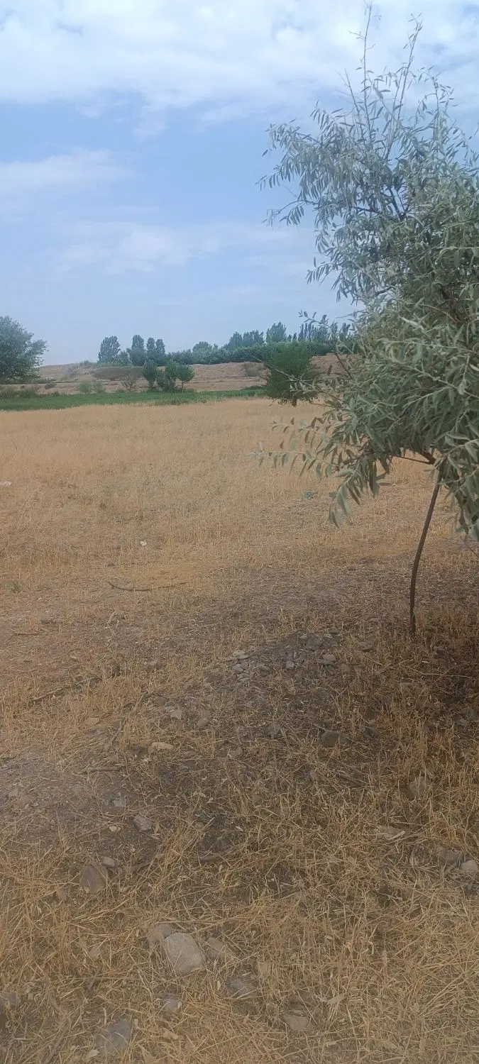 زمین
