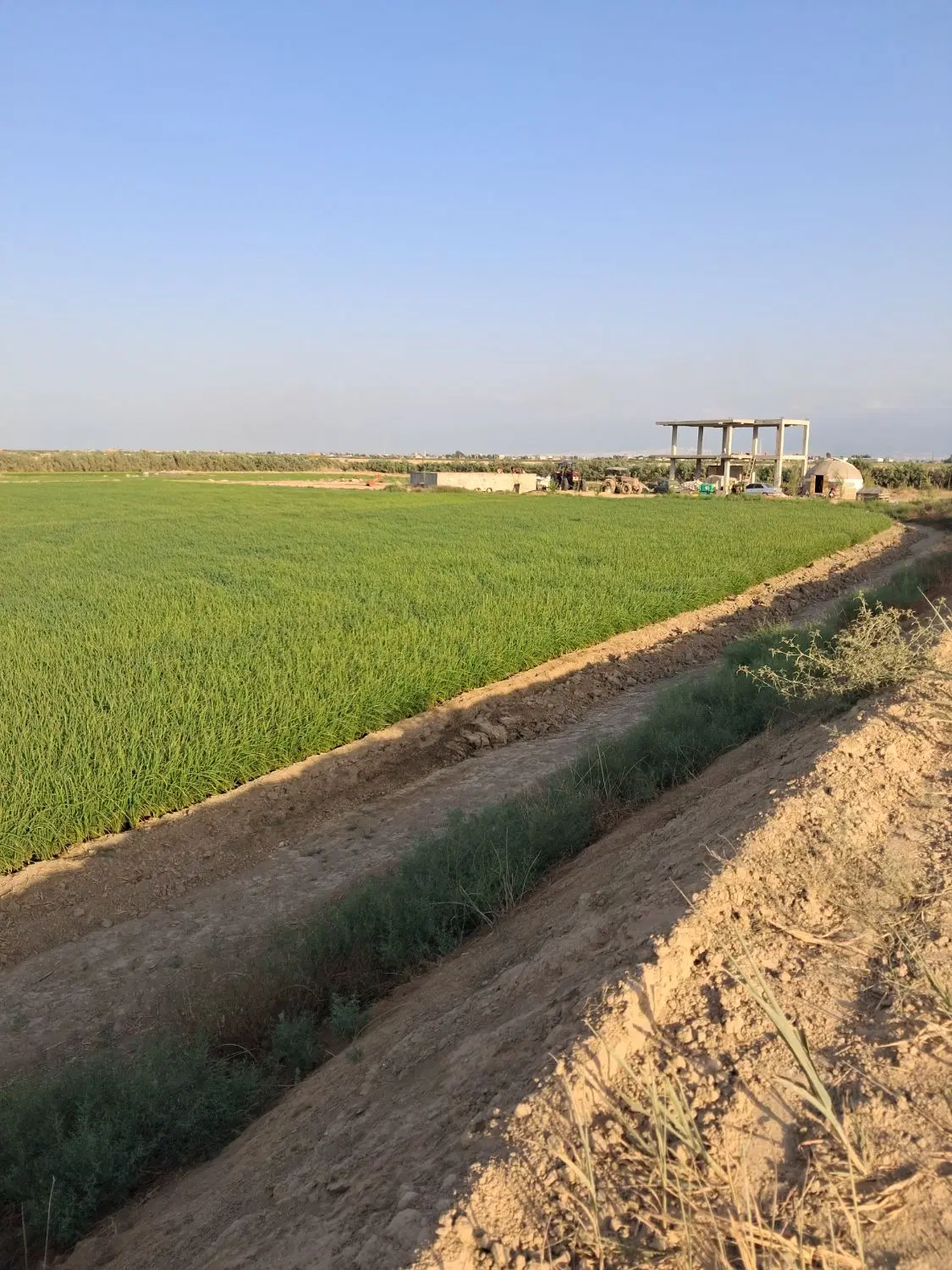 فروش خانه ویلایی کلنگی