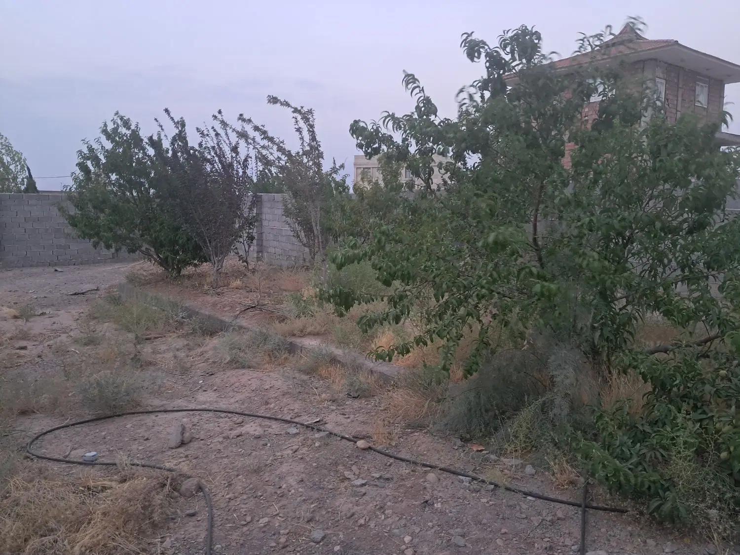 هفت باغ دهکده زیتون