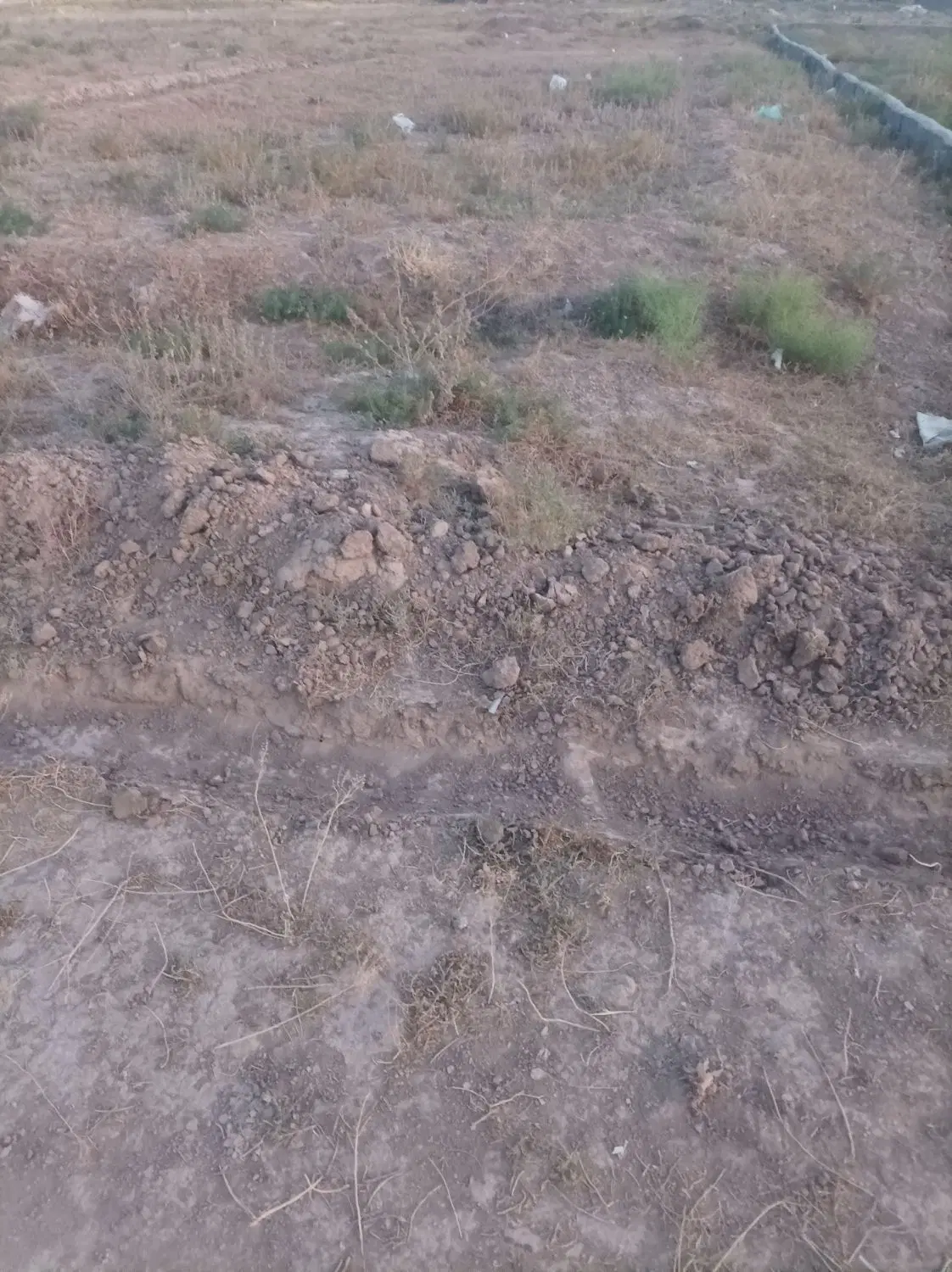 زمین قولنامه از سند مادر