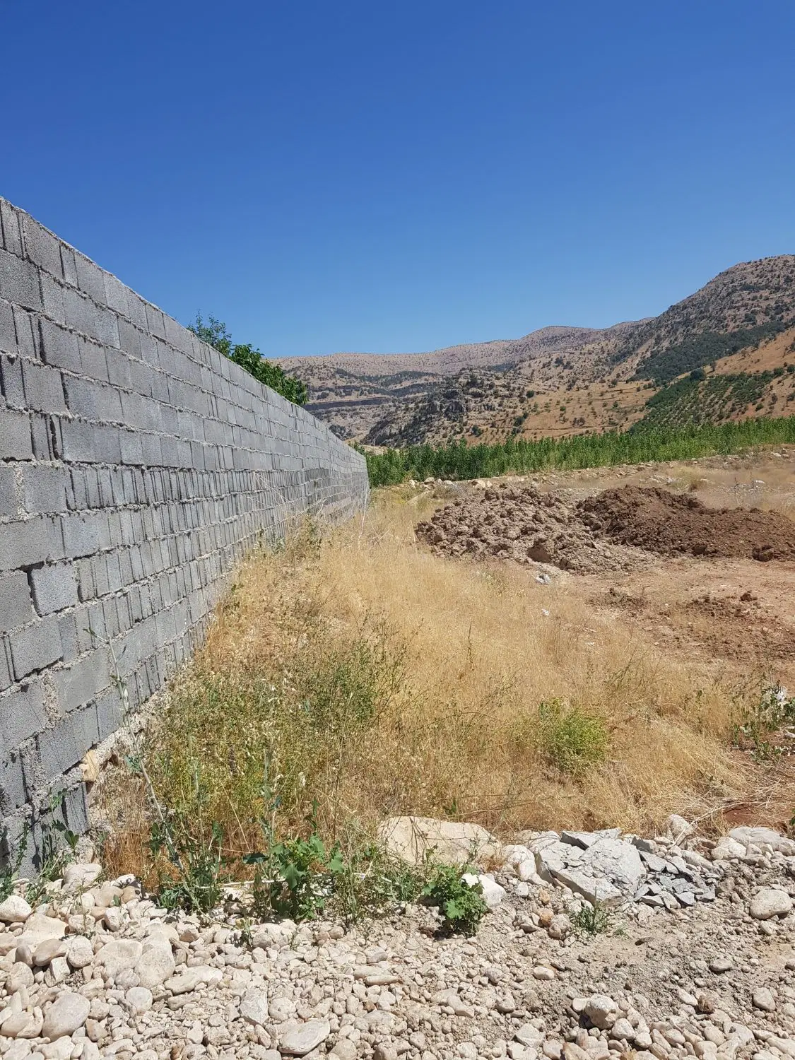 فروش قطعه زمین ۶۰۰ متری سندتکبرگ درتنگسرخ یاسوج