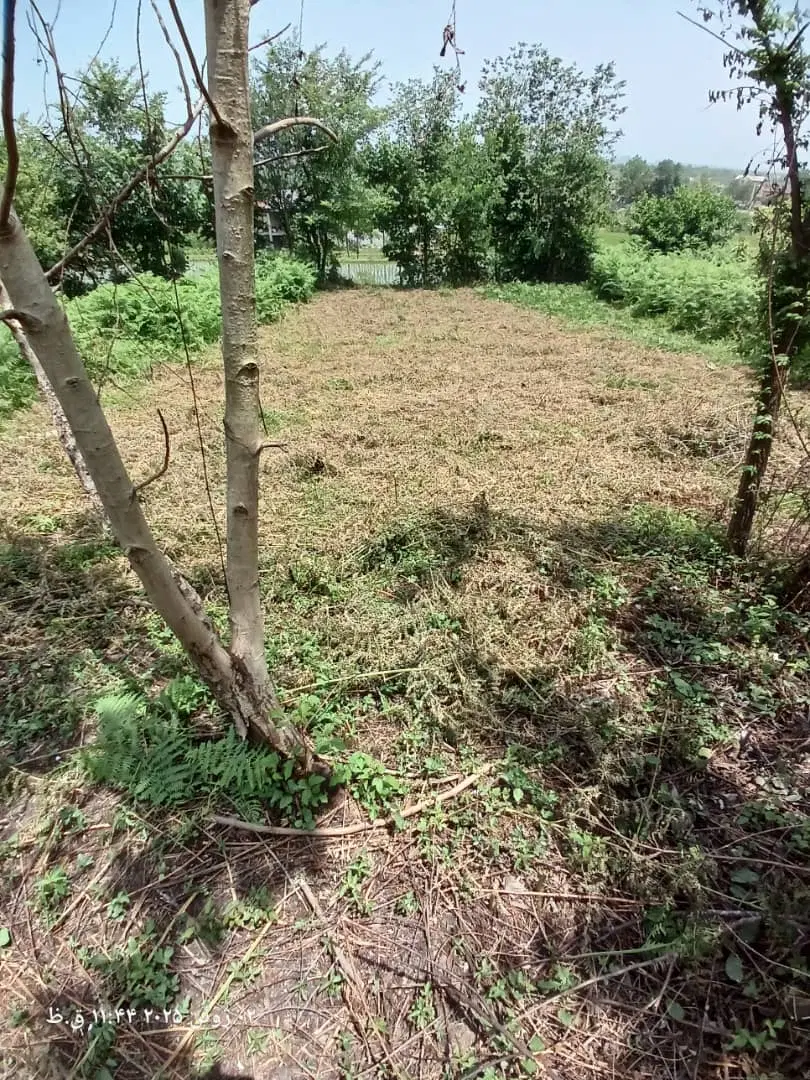 زمین باغی در شمال
