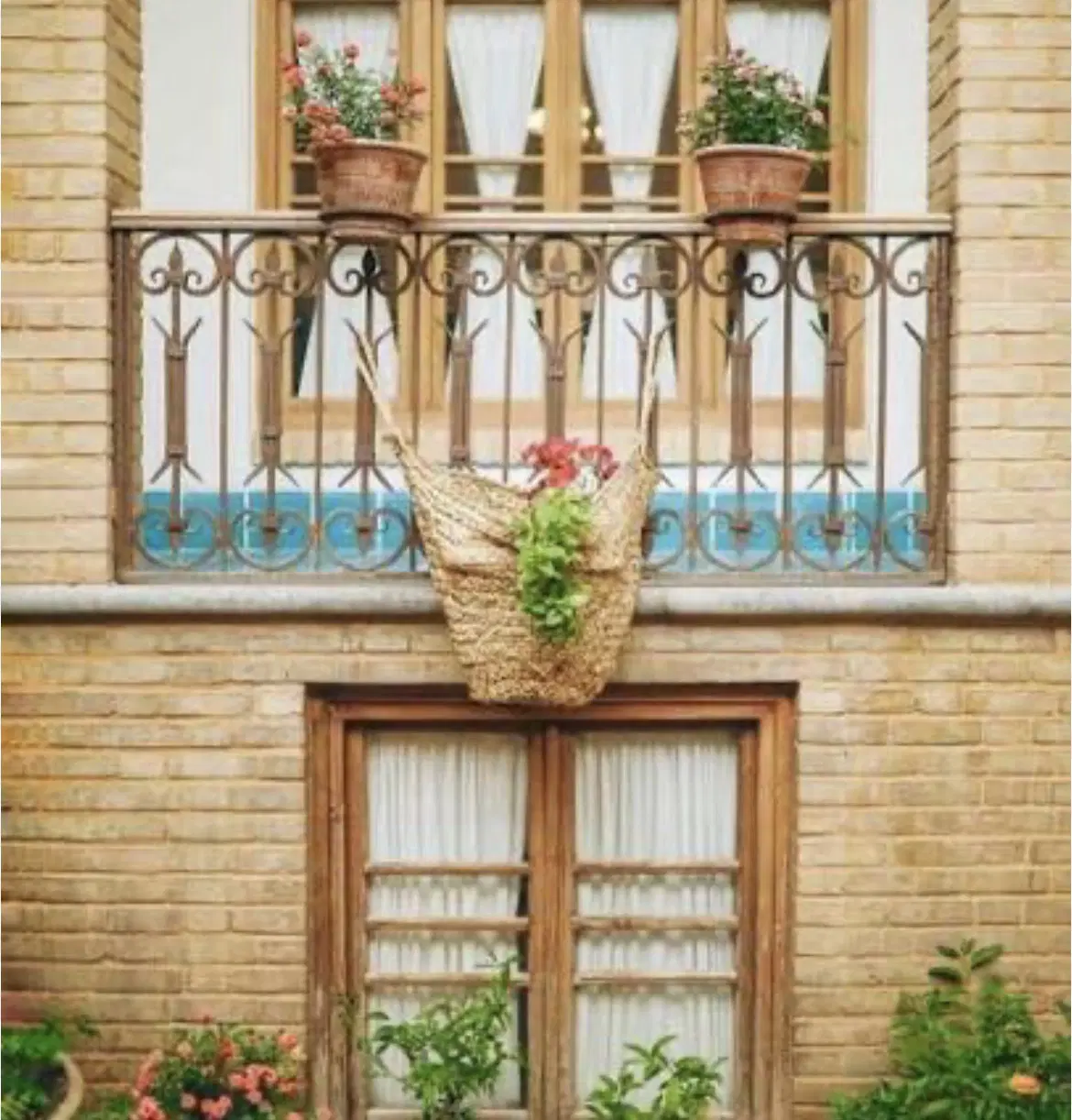 رهن و اجاره واحد ۵۵ متری کوی شفا