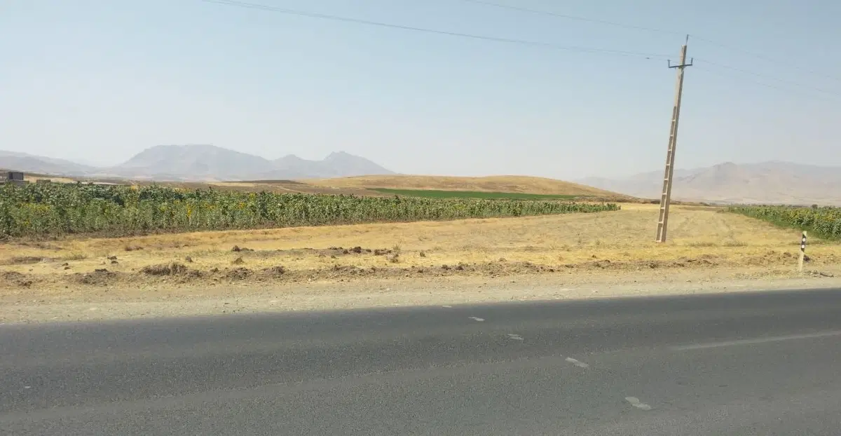 یک قطعه زمین چسبیده به شهر سنقر اول جاده سطر