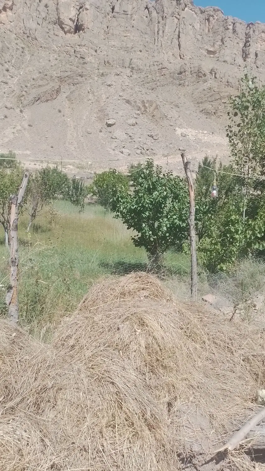 باغ در سه راهه هنداوار