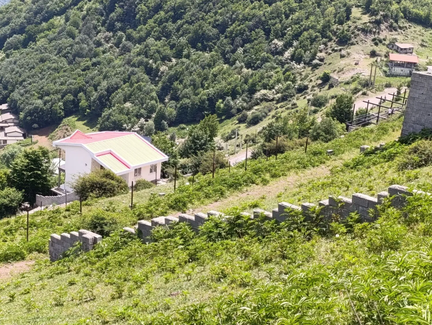 زمین طویر مرس