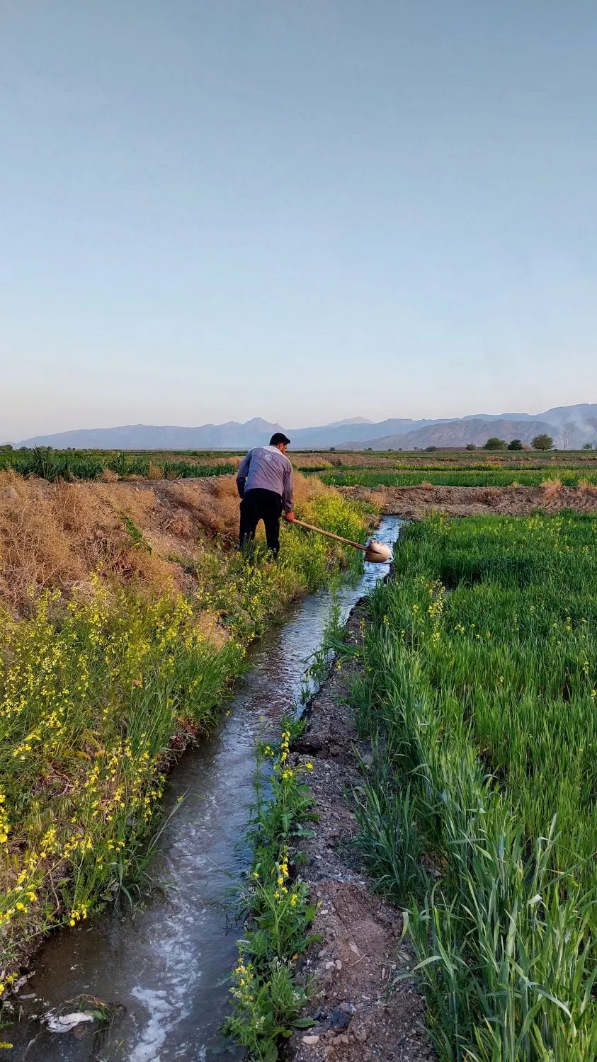 زمین کشاورزی