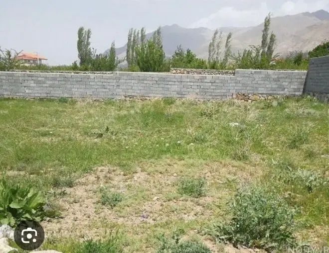 زمین