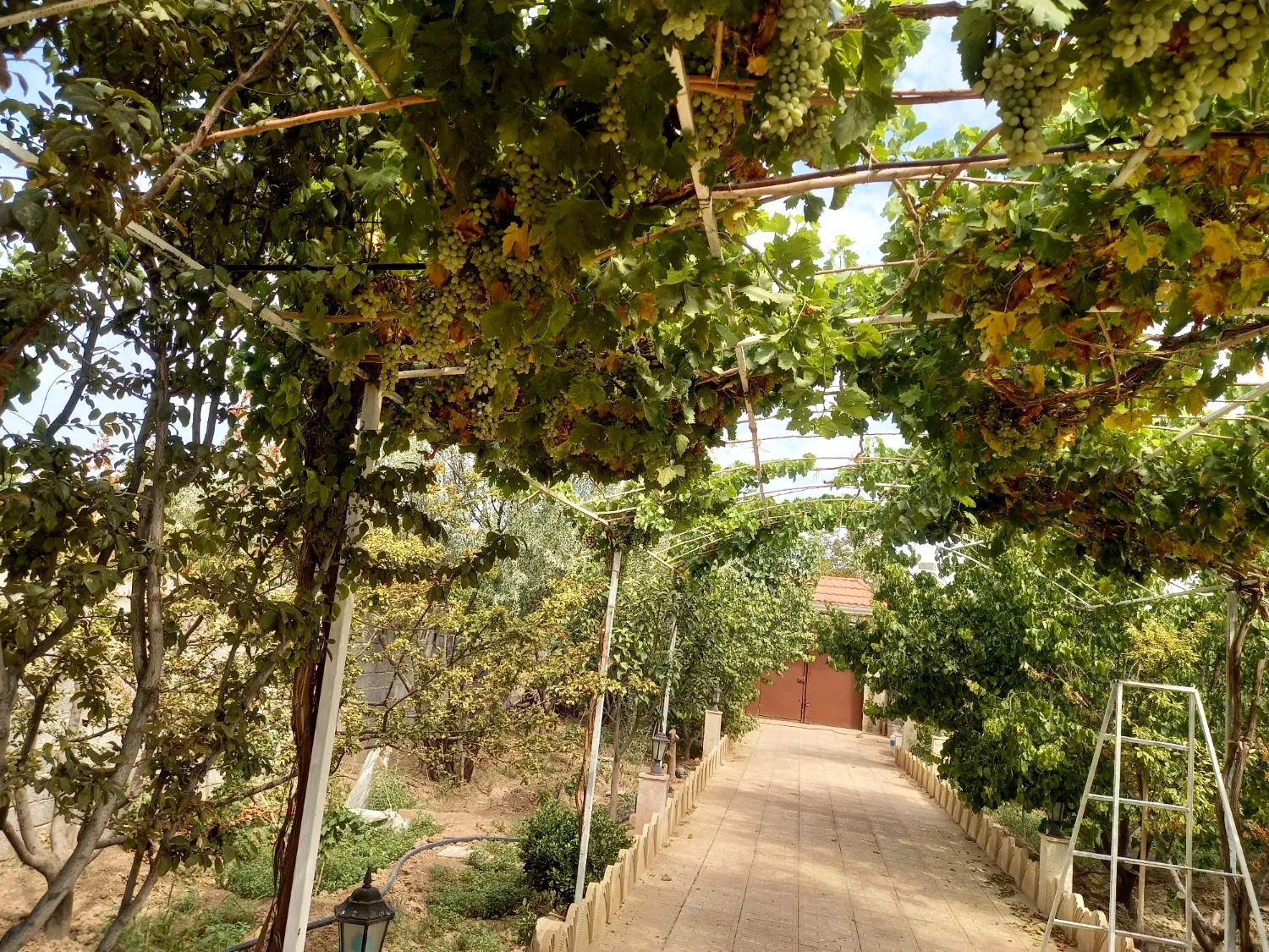 فروش باغ ویلا
