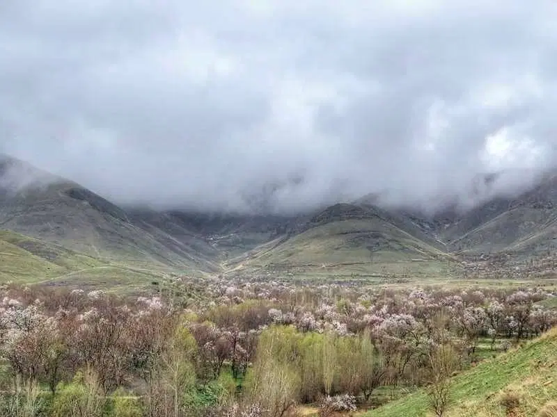 ۵ پلاک ۳۵۰ متری در منطقه زیبای چوبک(کلبه و کانکس)
