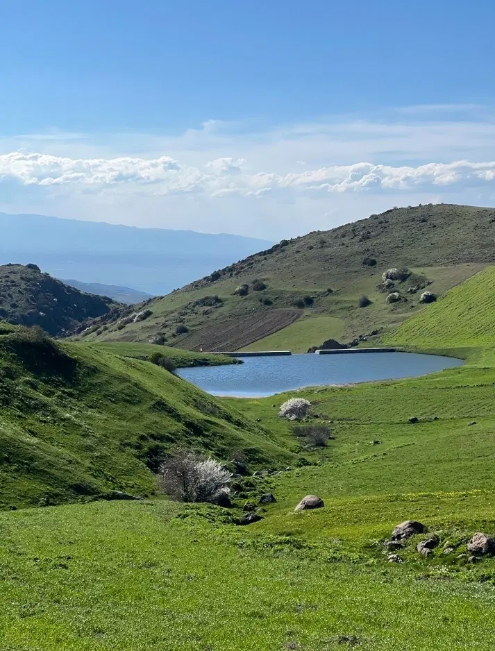 باغچه