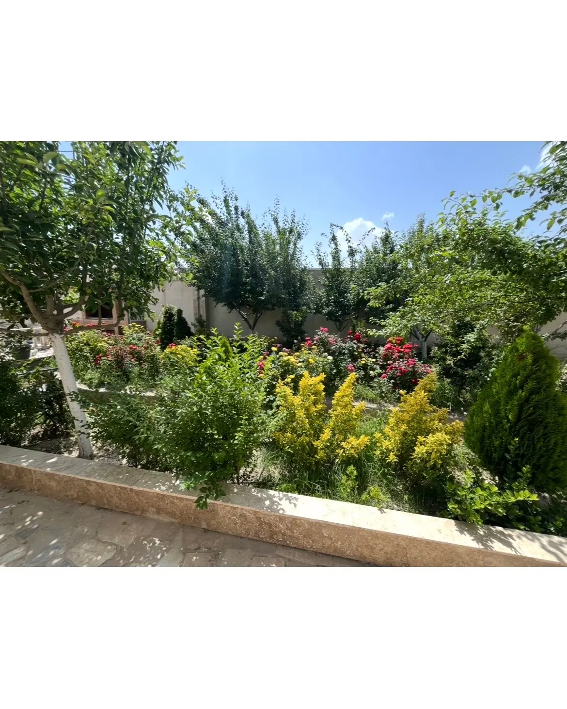 باغ ویلا