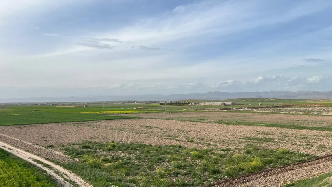 1هکتار زمین ملکی شاهنامه گوارشک معاوضه انواع خودرو