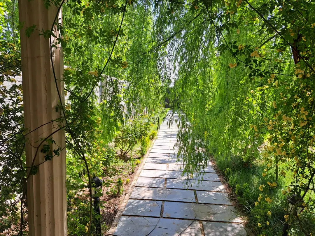 باغ ویلای ۸۰۰ متری بهترین لوکیشن