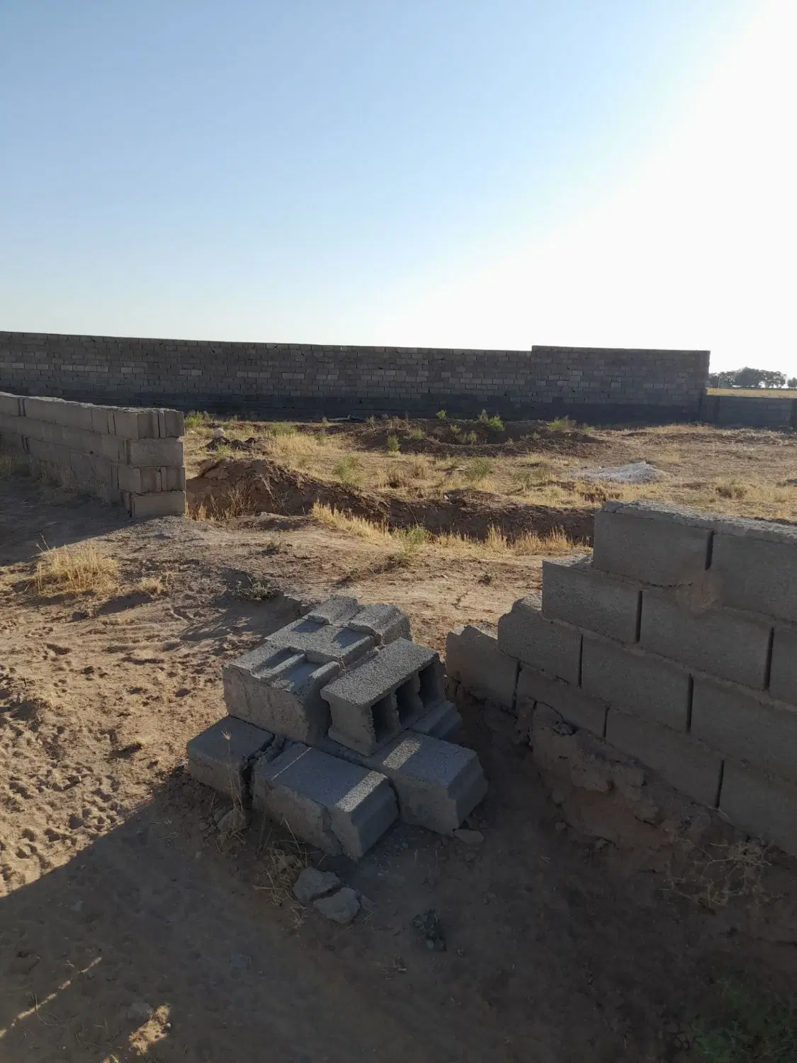 زمین