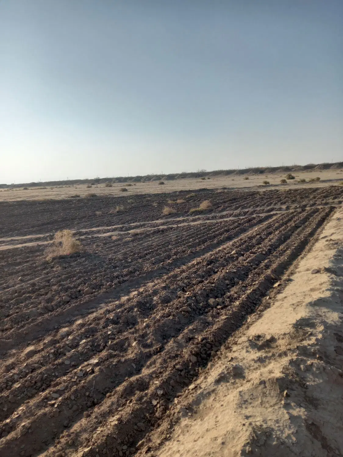 فروش زمین