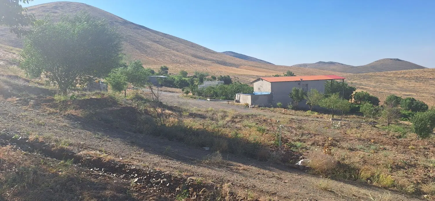 باغ انگور