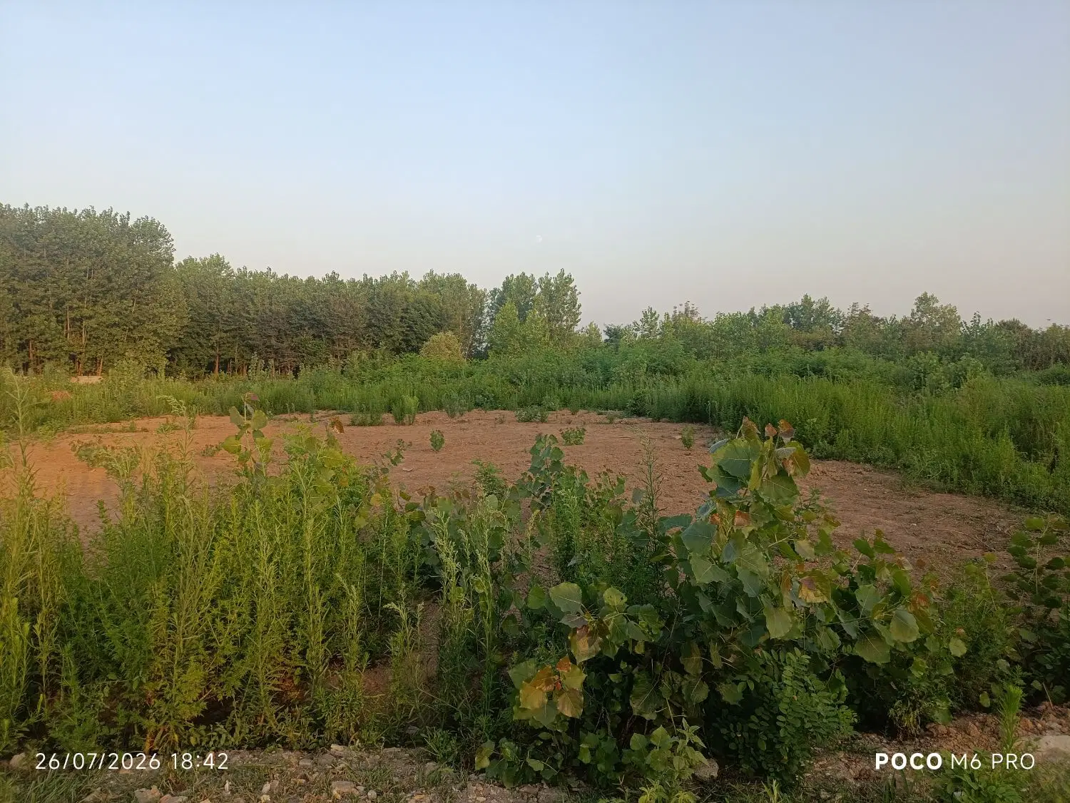 فروش زمین باغی داخل طرح
