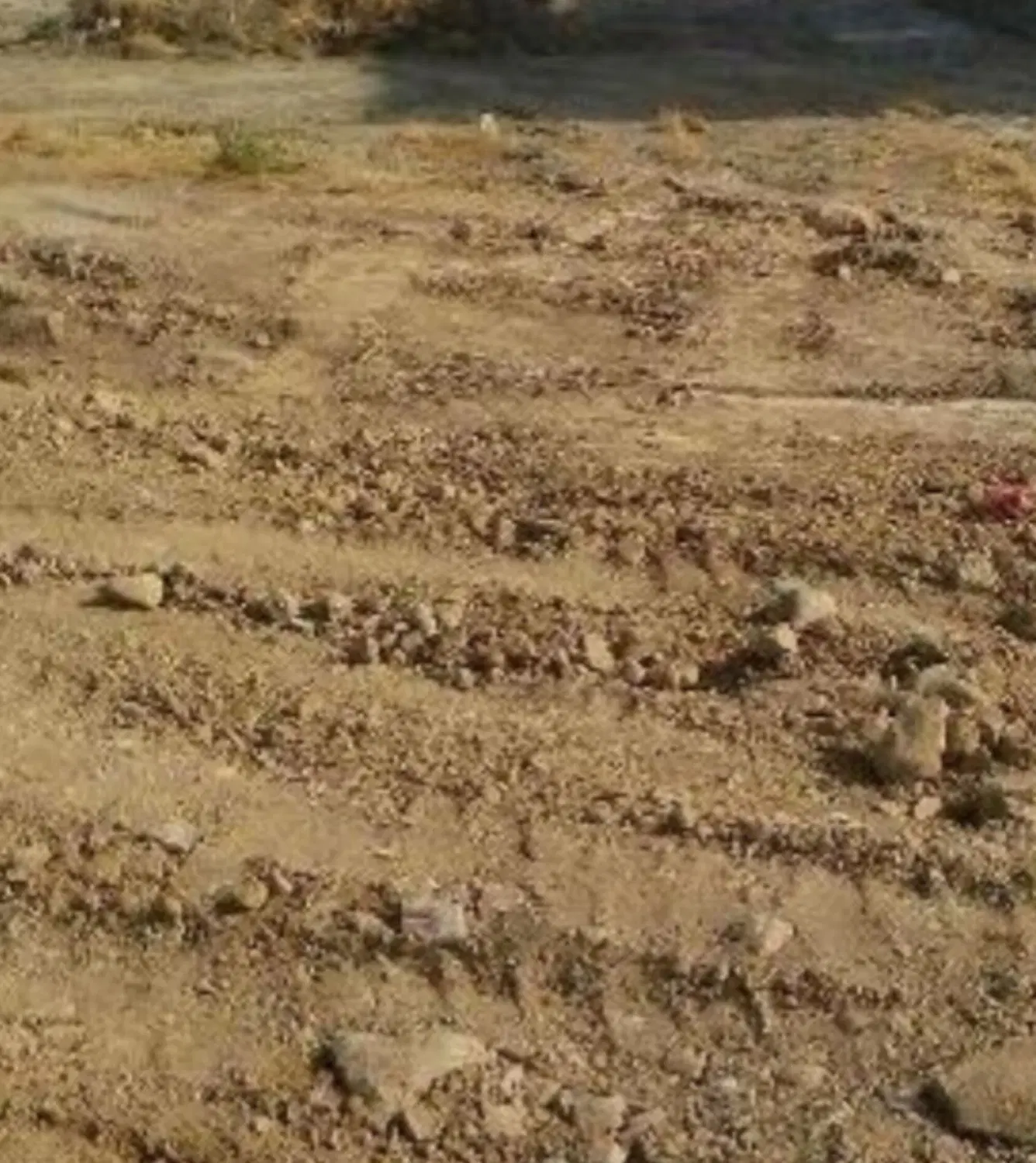 زمین مرکز شهر