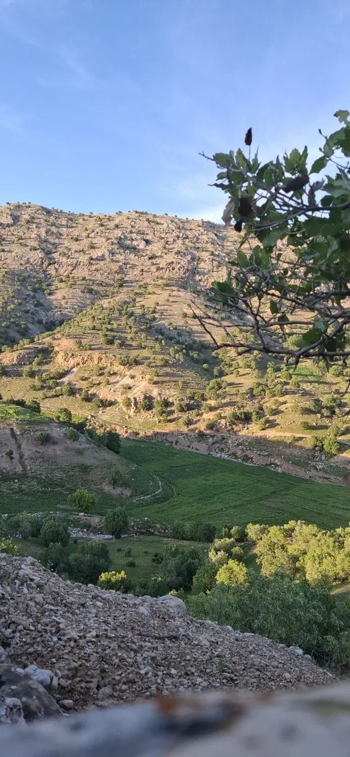 فروش زمین مسکونی در آبباریکی