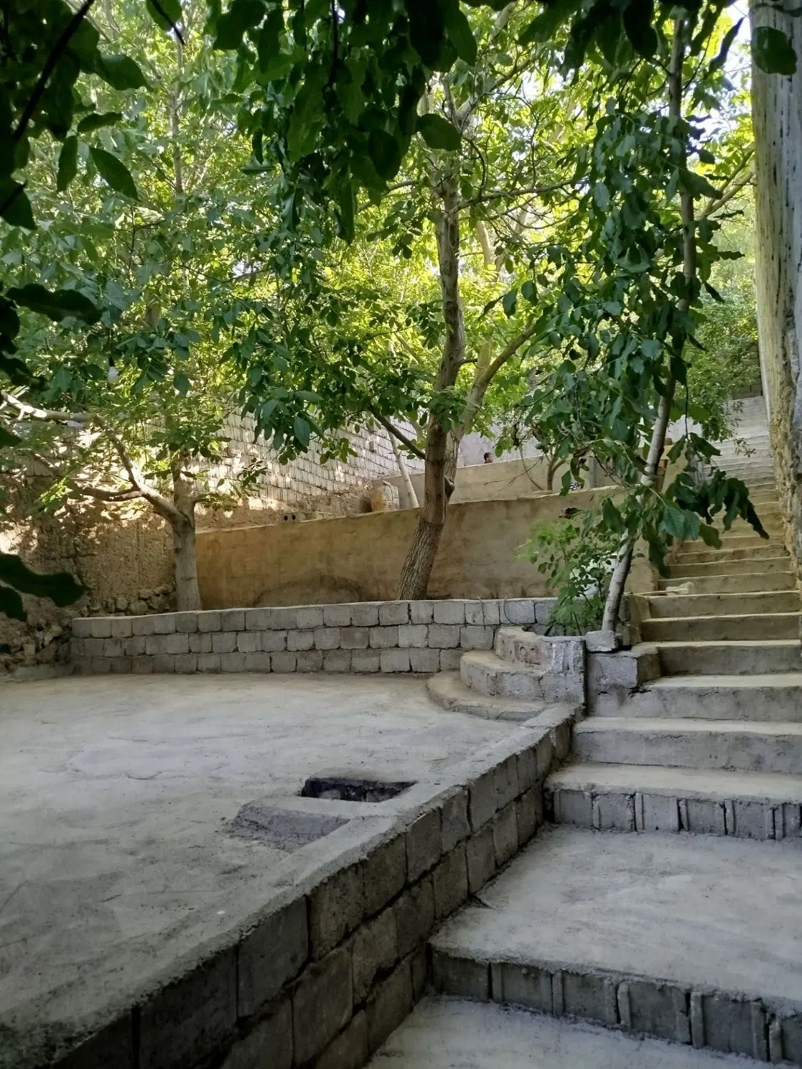 باغ تفریحی گردشگری
