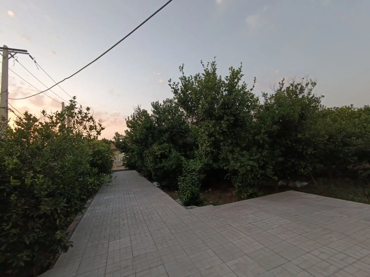 اجاره باغ ویلا دزفول سنجر