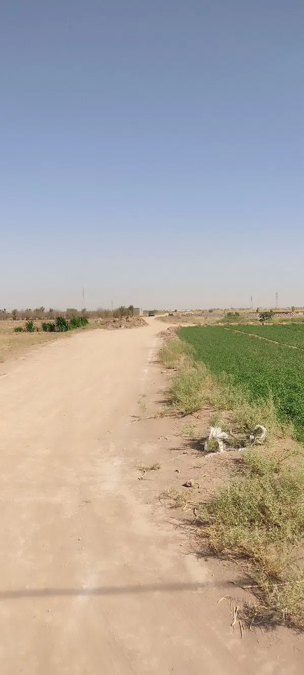 زمین سید میرزا سرمایه گذاری مناسب