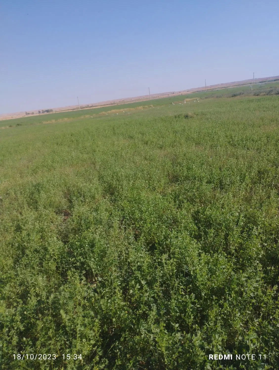 زمین تجاری