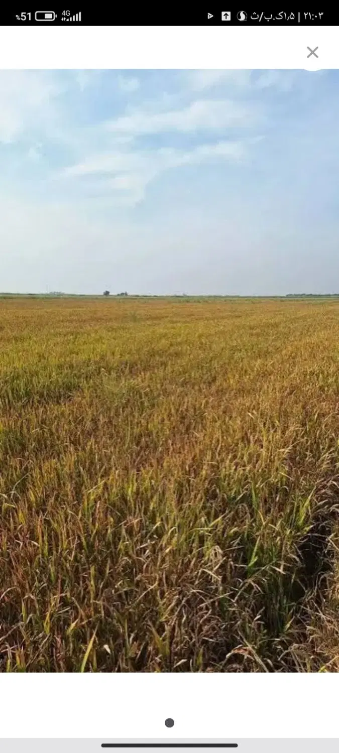زمین سه دانگ سنددار