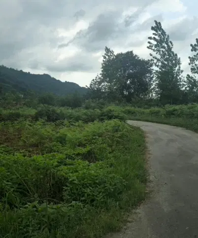 زمین مسکونی روستایی