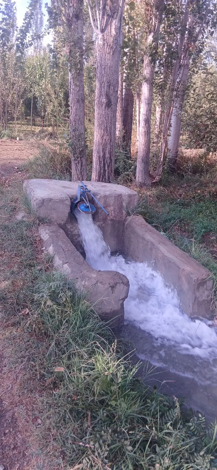 فروش باغ در روستای درشک