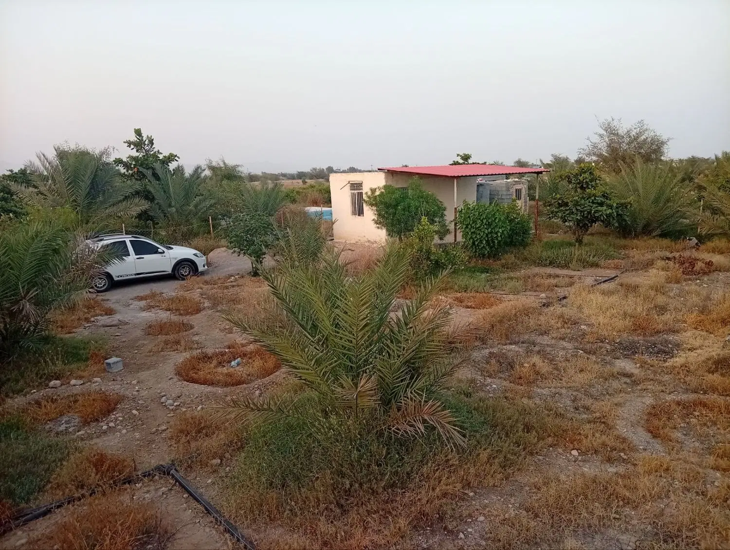 فروش خونه باغ ۷۰۰ متری_سرخون