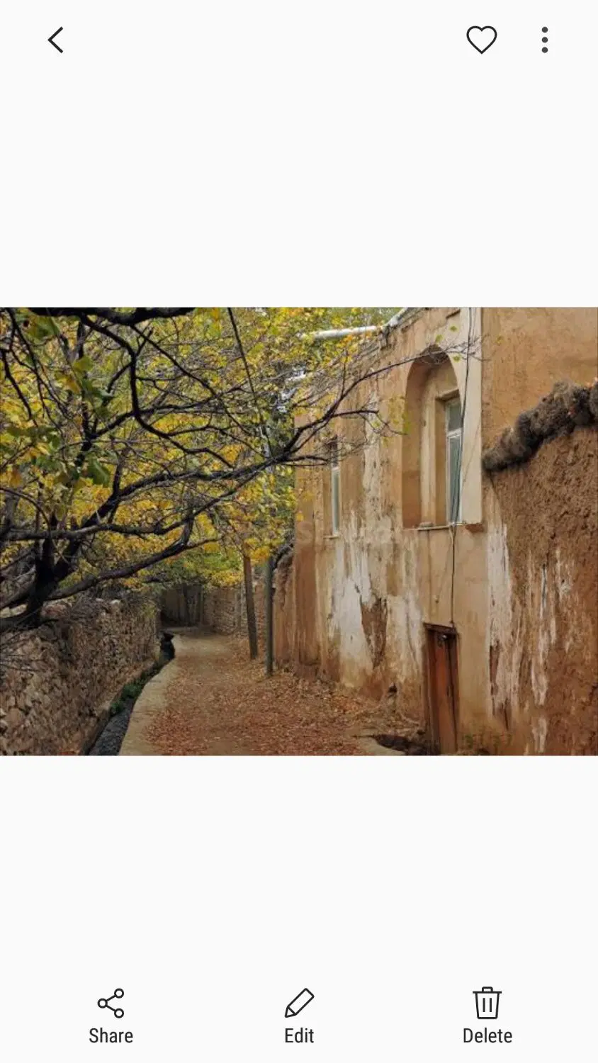 زمین شهمیرزاد