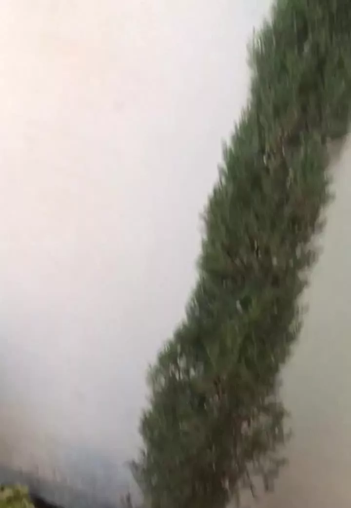 باغچه قپچاق ملارد